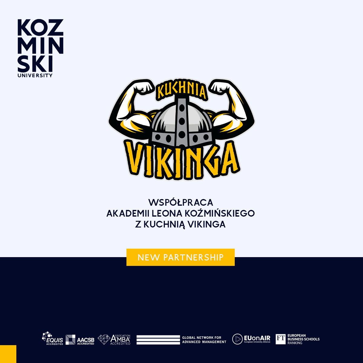 grafika Viking